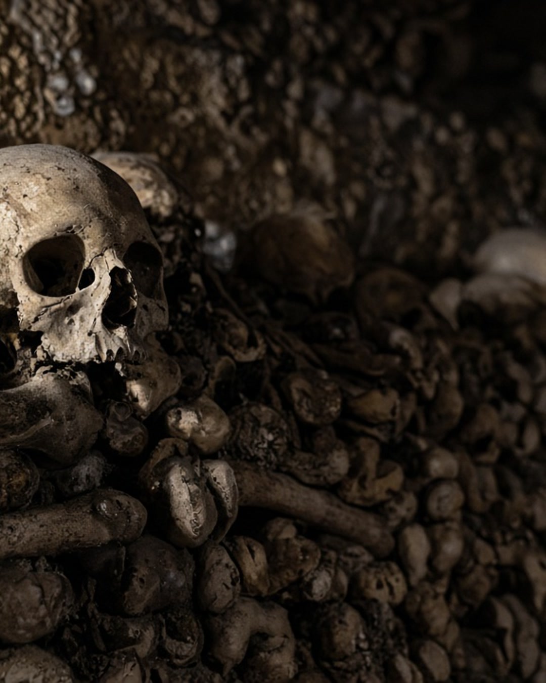 Close view of aged skulls and bones stacked against a rough limestone wall in the Paris ossuary.