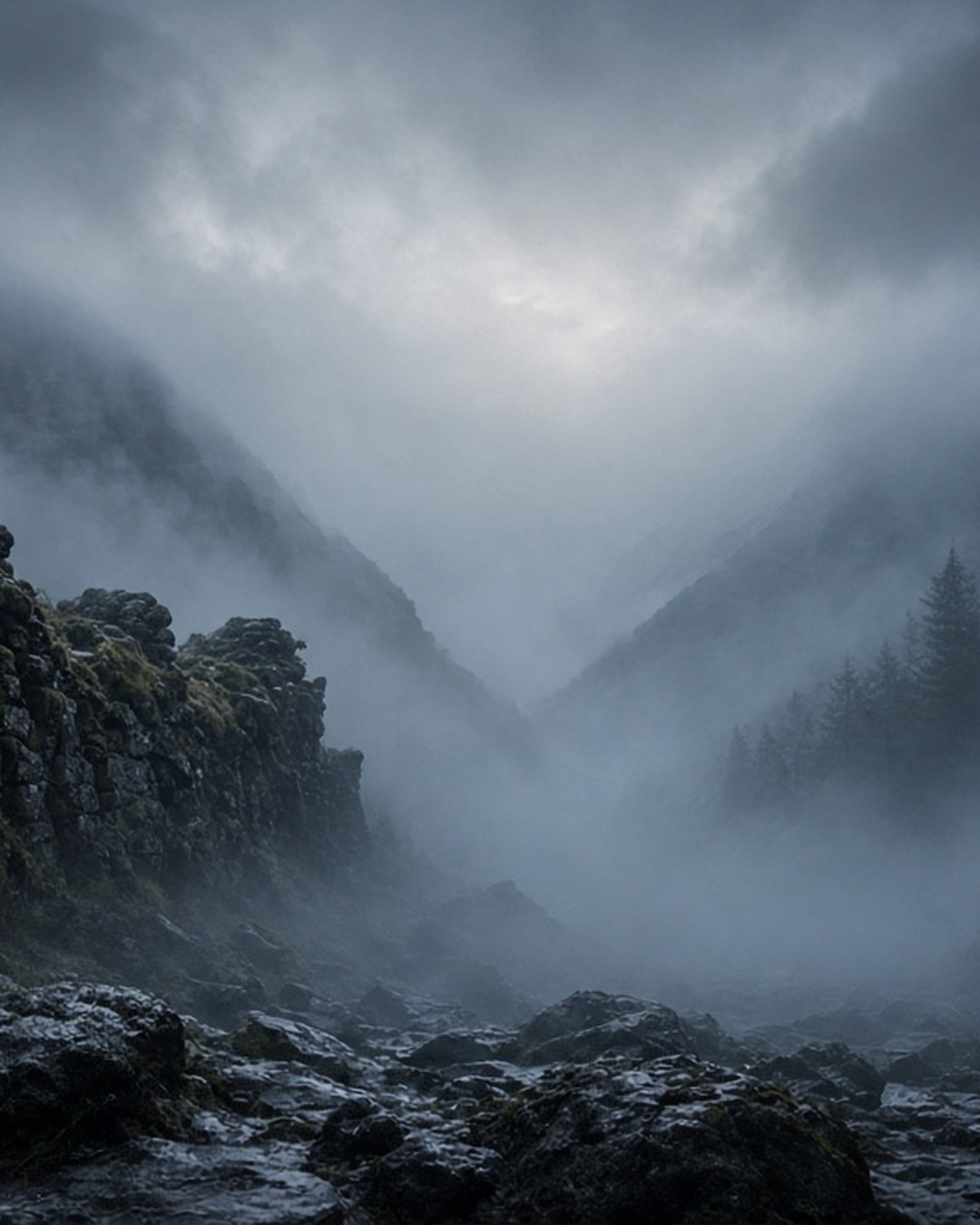 Fog-filled Irish glen with mossy stone wall and dark evergreens at twilight